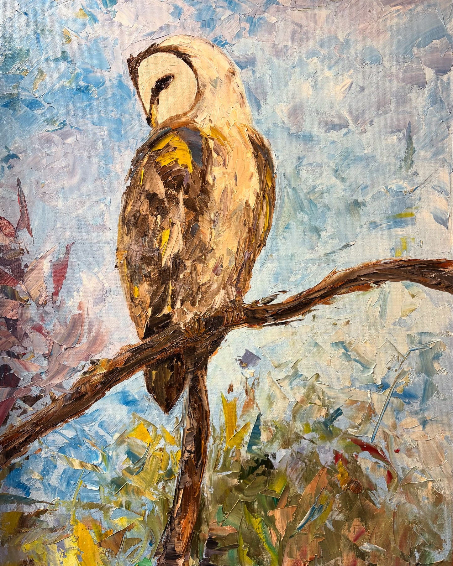 Barn Owl