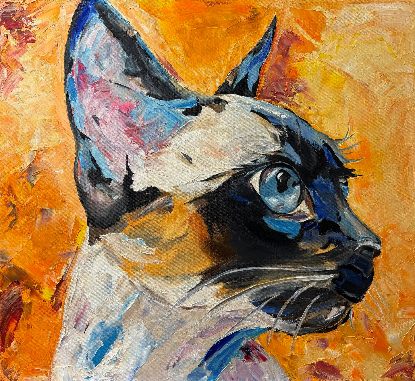 Siamese cat