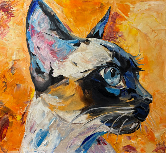 Siamese cat