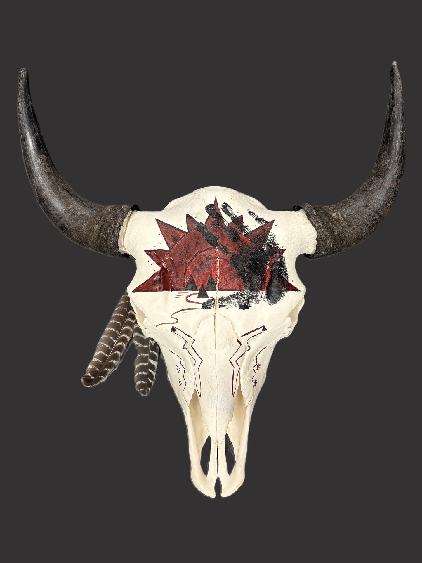 Bison Skull