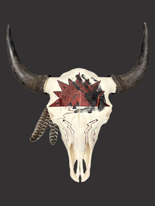 Bison Skull